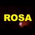 Rosa - Ben Whale