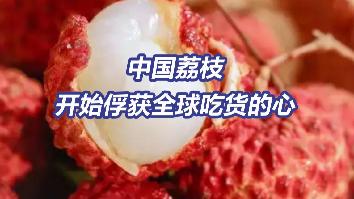 荔枝出口爆发式增长！中国荔枝开始俘获全球吃货的心