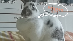 7356746249429fd169d819fa01899b6dbdd0f2b5.jpg@280w_158h_1c_100q.jpg