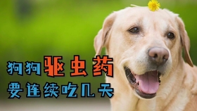 7359de00fa947ab8f5bd61e9f1876804883a6c49.jpg@280w_158h_1c_100q.jpg