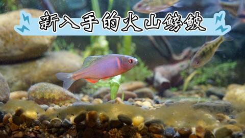 735d644c8cd63caaefca6c8bd03810fa78bd6369.jpg@480w_270h_1c