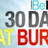 [BeFit 30 Day Fat Burn]30天燃脂及课表（全）以及有氧