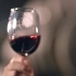 2017威龙葡萄酒企业宣传片