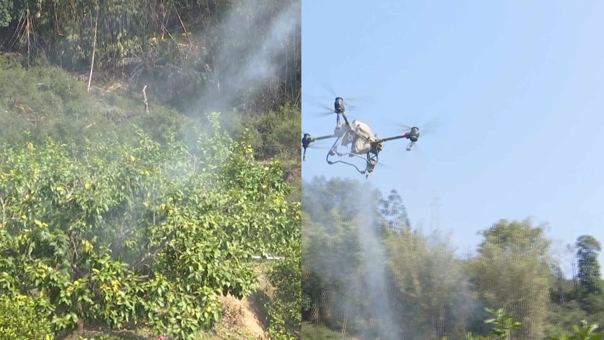 节省三倍人工成本！喷洒农药、施肥作业，无人机助力农业生产
