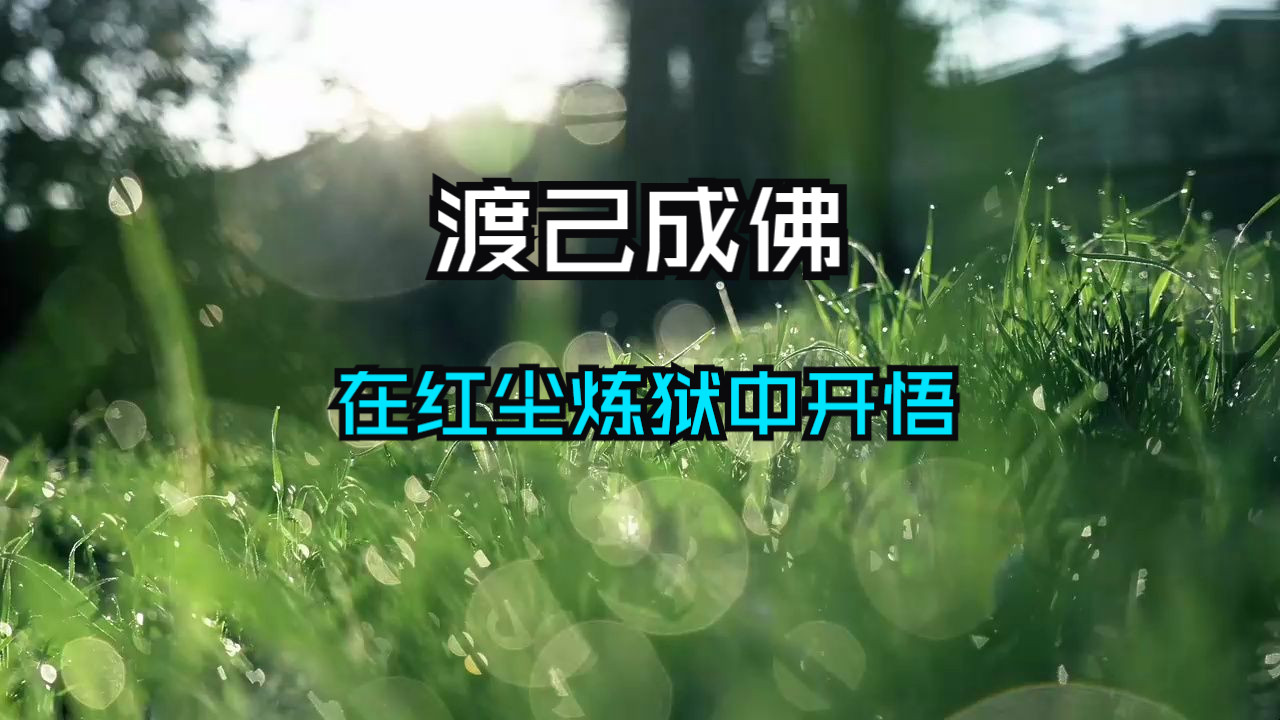 在红尘炼狱中开悟，如何渡己成佛。