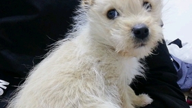 吃什么药会打嗝不停 73a62fbf90f67f4a95a8d90372cfcf39e9d046e2.jpg@280w_158h_1c_100q.jpg