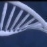 【AE教程】这炫酷DNA动画效果教学，会不会上瘾！