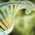 DNA双螺旋结构是如何复制的？基因突变对自然生物有哪些好处？