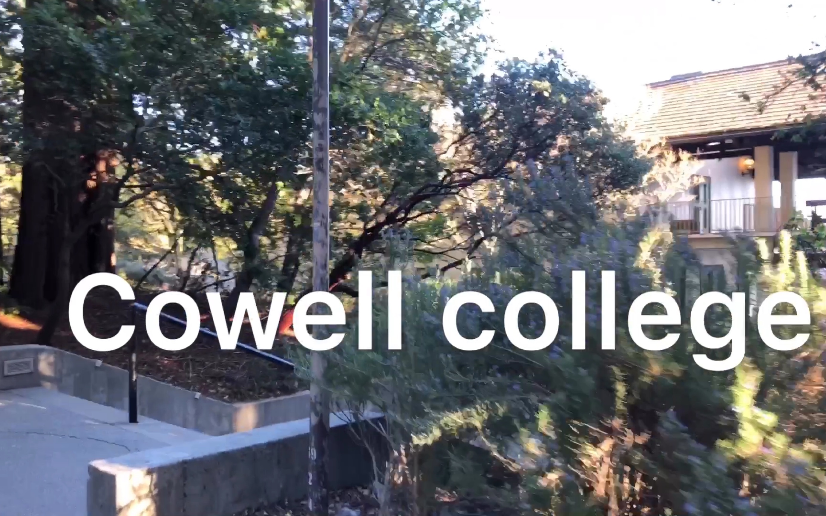 UCSC Cowell college_哔哩哔哩_bilibili