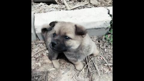 73d2e3e929ea622a01fb82d1e8d9a86a20bc3f04.jpg@480w_270h_1c