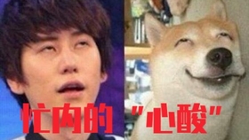 哔哩哔哩电影推荐中文 73e57c769b7b58ed03e4f01aacd1391bf98e02f3.jpg@280w_158h_1c_100q.jpg