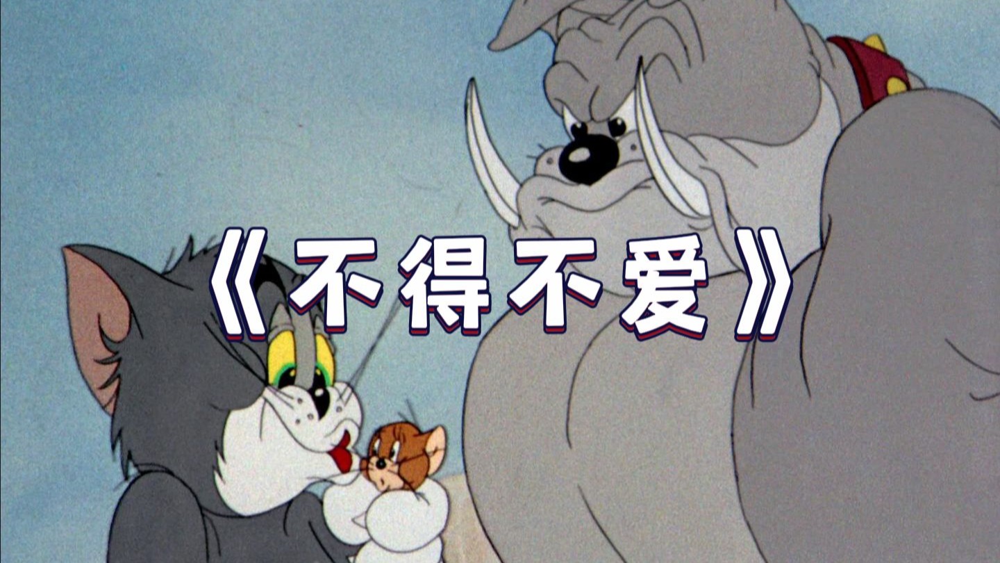 这才是《不得不爱》原版MV！！！