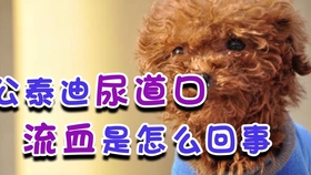 741f4956f974462af53cebd0e03d9ed48bb8923f.jpg@280w_158h_1c_100q.jpg