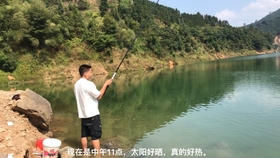 7429427a0518128ef68e4b374160e249318b023f.jpg@280w_158h_1c_100q.jpg
