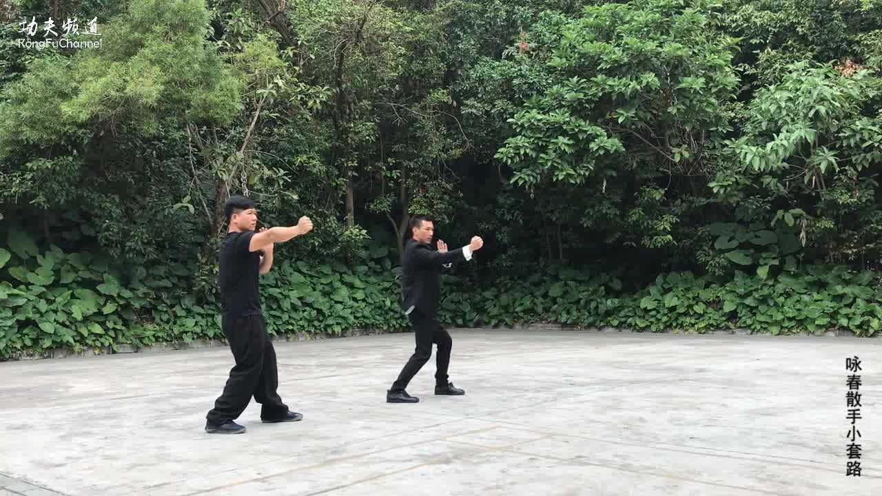 咏春拳叶问咏春散手教学视频咏春散手小套路自学视频教程