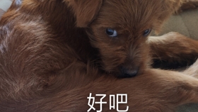 743530ecf6d992778dacd49c8ee25c1d4b97b885.jpg@280w_158h_1c_100q.jpg