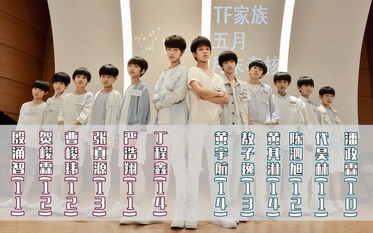TF家族四代都有谁 知乎