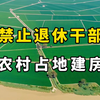 为何中央一号文件禁止“退休干部到农村占地建房