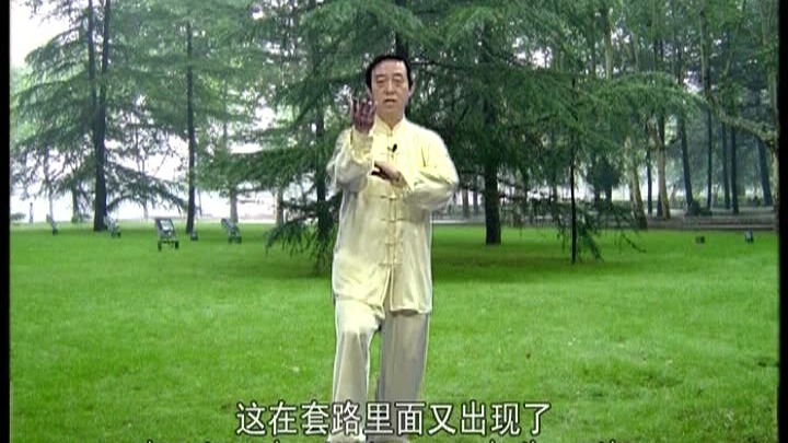 DVD 01陈正雷——老架一路74式（完整版）