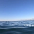 h718 4K高清画质辽阔海洋海面清澈海水海浪波浪拍打沙滩海声蓝天白云祖国河山歌唱祖国大自然景色视频素材