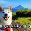 一只柴犬的鹿儿岛之旅 第三天 桜島→指宿
