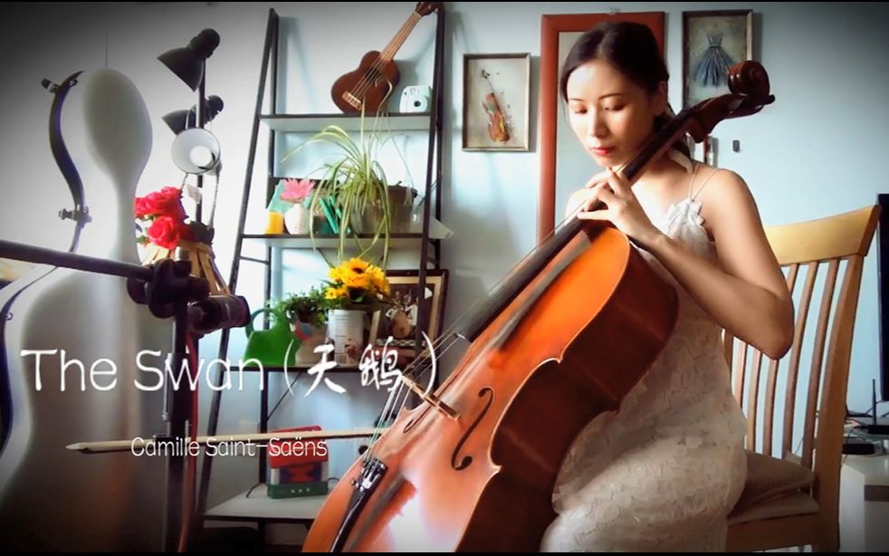 最美大提琴曲saintsa05nstheswan天鹅