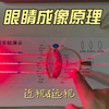 眼睛成像原理-近视-远视