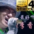 【4K珍藏】歌神张学友《李香兰》乌蝇哥blingbling演唱会，超闪现场！
