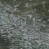 下雨雨滴慢动作 【图图爸爸素材库】无水印视频素材持续更新