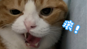 748d19548fb626bcc7669679fc54cf0b2eab974f.jpg@280w_158h_1c_100q.jpg
