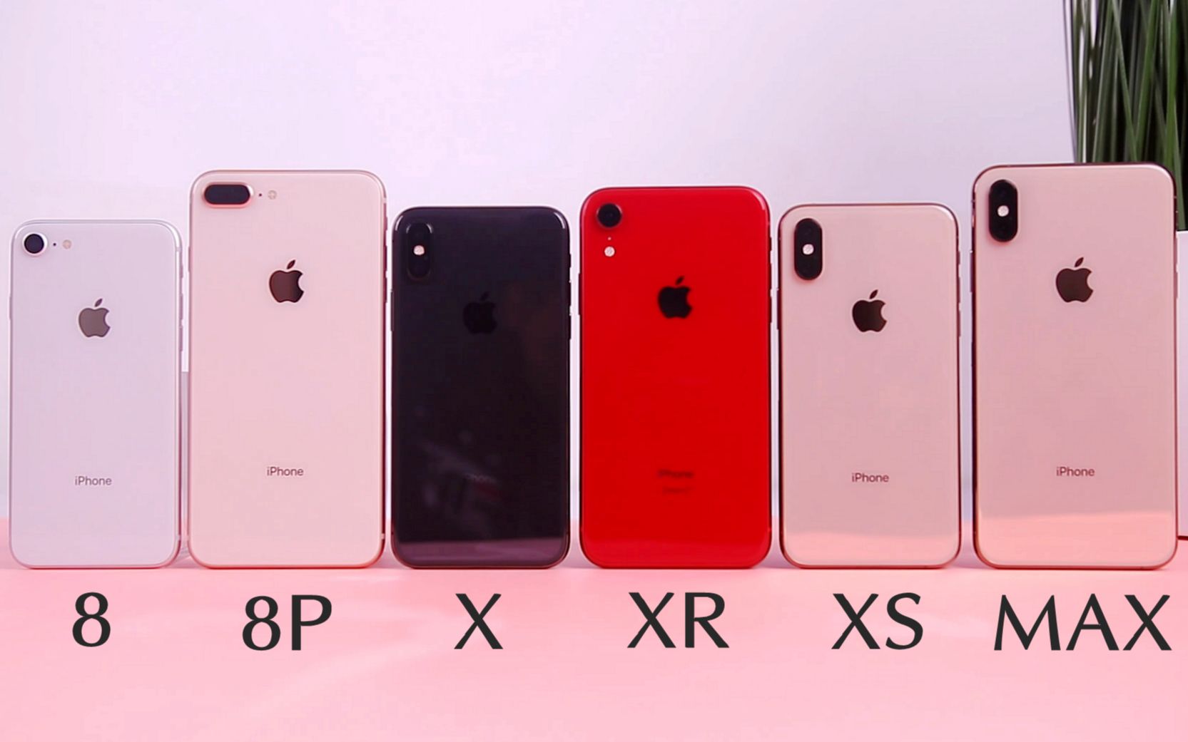 苹果8、8p、X、XR、XS、XS Max续航大比拼！猜猜谁最持久？