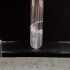 【泠月老师】实验澄清石灰水与二氧化碳的反应
