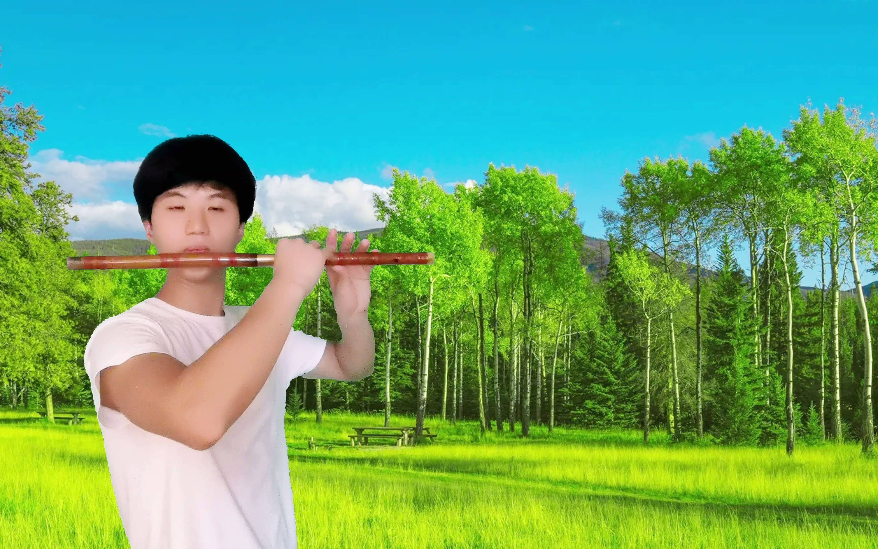 这里是关于民族乐器竹笛的圈圈、喜欢笛子的你赶紧快来围观吧…… - 哔哩哔哩
