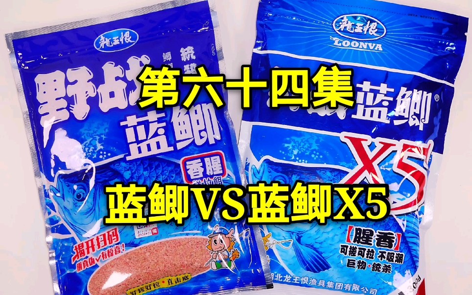 蓝鲫和蓝鲫X5到底哪款更好用？如何鉴别真假蓝鲫？