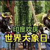 印度庆祝世界大象日