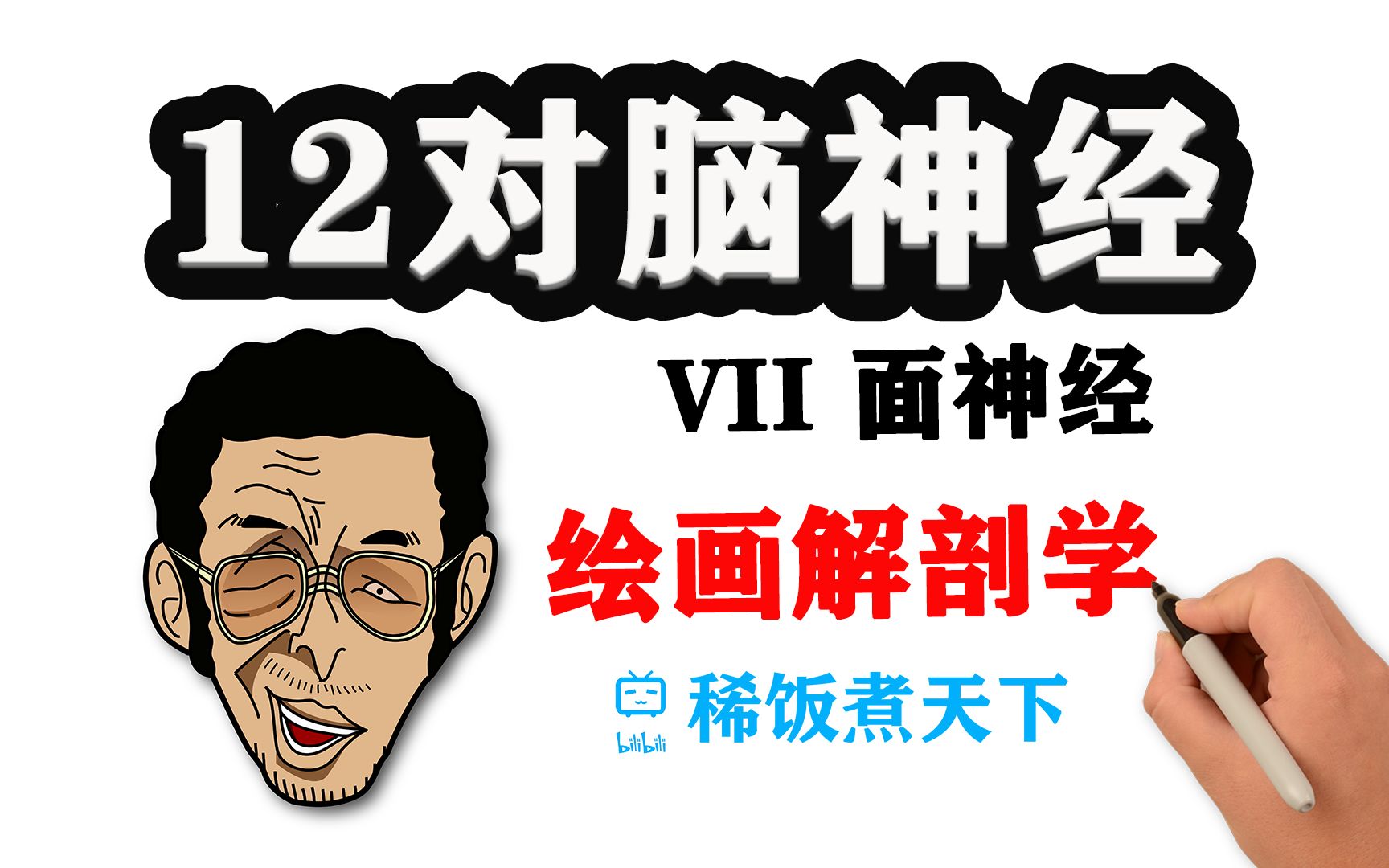 【绘画解剖学 神经】12对脑神经（中）黄猿教你学面瘫