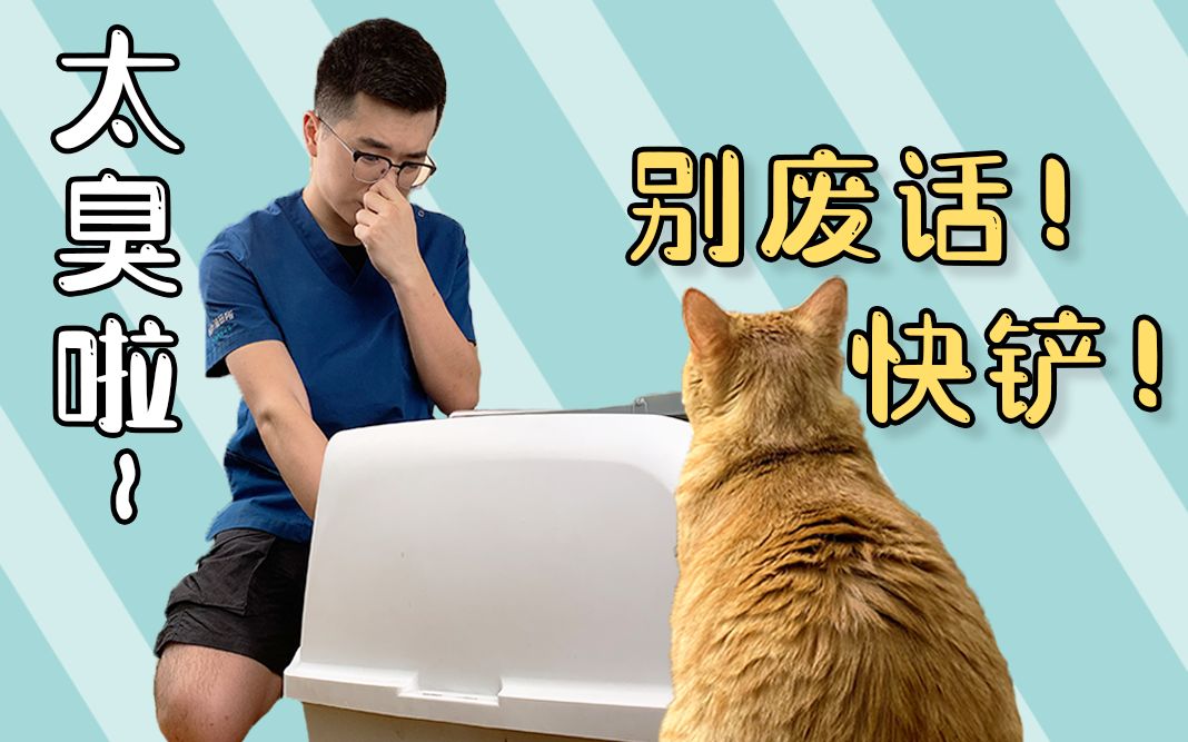 哪种猫砂盆更好用？