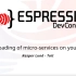 【乐鑫开发者大会-22】在 ESP32 上的微服务实时加载