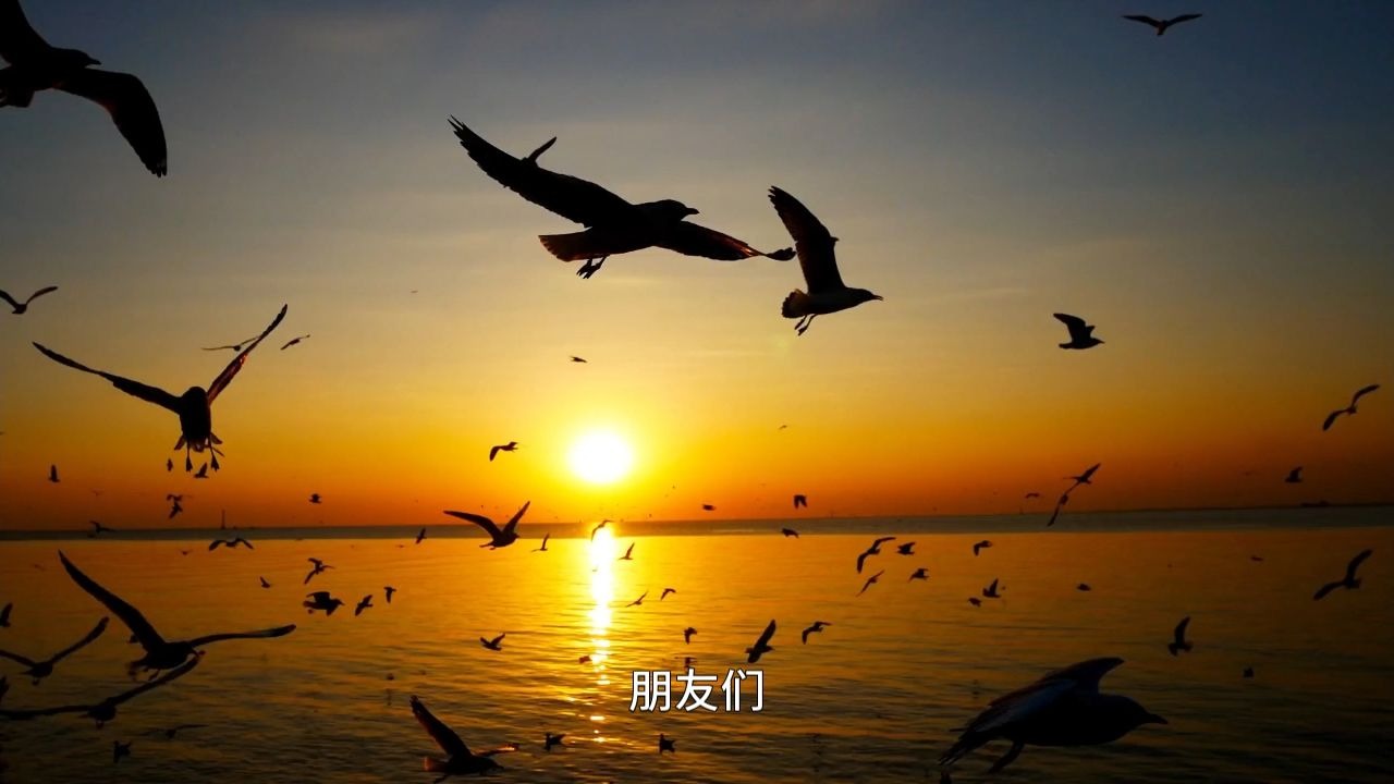 开悟后真的能无所不能吗？普通人该如何走向开悟呢？别再东学西学了，开悟才是最根本的道！