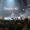 サケベミライヘ→／Play.Goose（For Two Gooses →83 ver