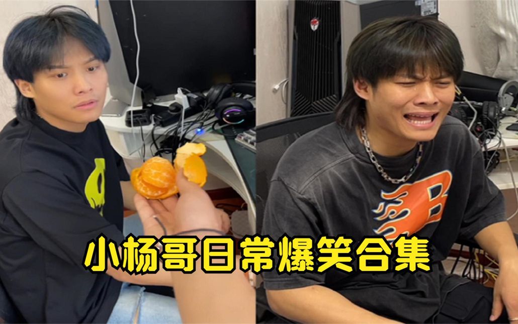 小杨哥爆笑名场面,感动天感动地,老弟就是感动不了