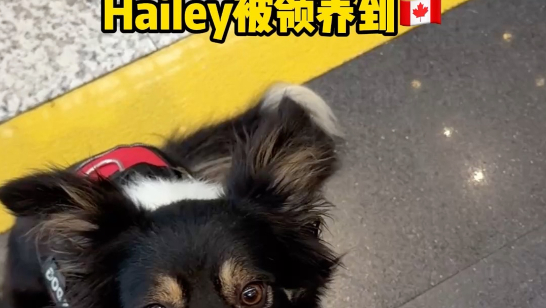 我亲爱的小女儿 你将拥有更广阔的天地