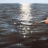 【油画】brennerfineart教你绘画逼真海面波光粼粼倒影