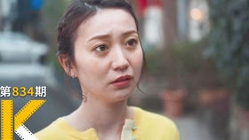 古言风华，视频短剧的魅力，古言风华，视频短剧的魅力之所在