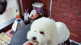 756cdeb39ede5be5d28ab3742475a56a9c00f1b6.jpg@280w_158h_1c_100q.jpg