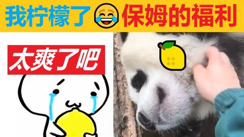 757883aa098f7bf491335adcac359dab4620a640.jpg@480w_270h_1c