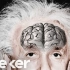 爱因斯坦死后大脑被偷了，并且被切成1000张小片…以科学之名！@柚子木字幕组