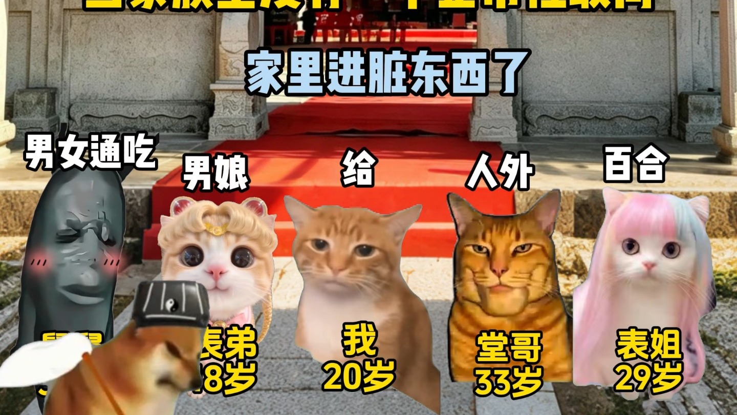 家里进脏东西了