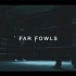 【Thequickstyle】Far Fowls - Quick Crew