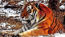 75b3b39ba1c5c1e8abbc735e1c510f45aa6eb45f.jpg@280w_158h_1c_100q.jpg